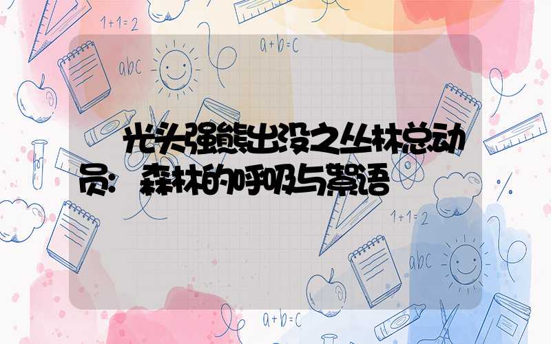 光头强熊出没之丛林总动员:森林的呼吸与絮语